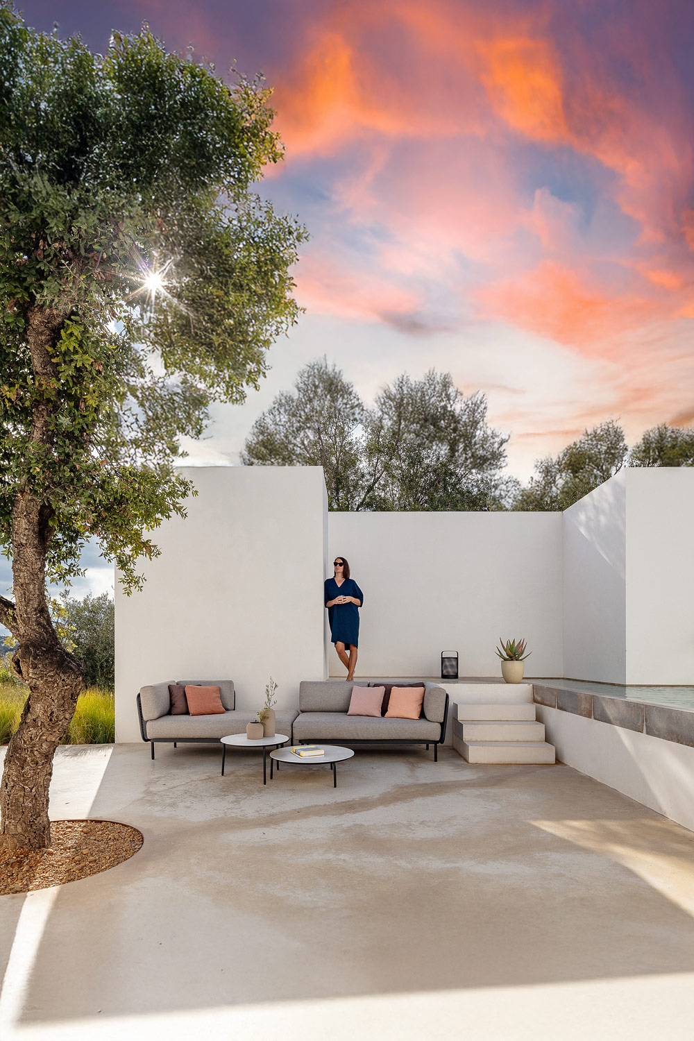 terrasse-avec-canapés-minimalistes-et-tables-d'appoint