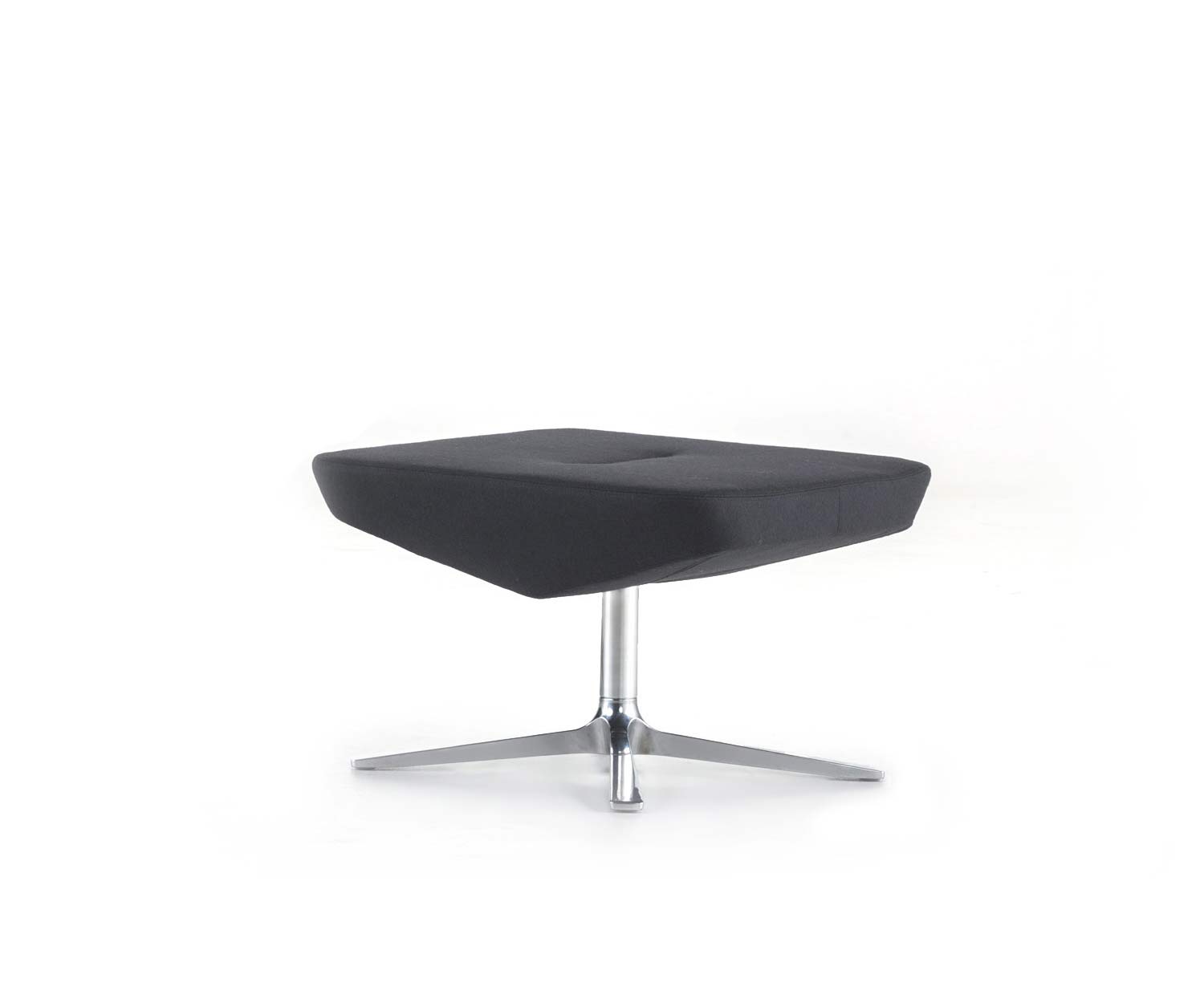 Prostoria Trifidae ontlasting in zwart Prostoria Trifidae ontlasting in zwart