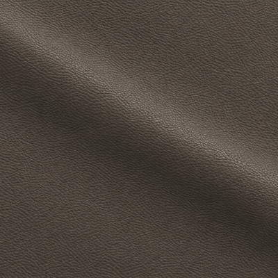 Seminole 51 · Gris nuit