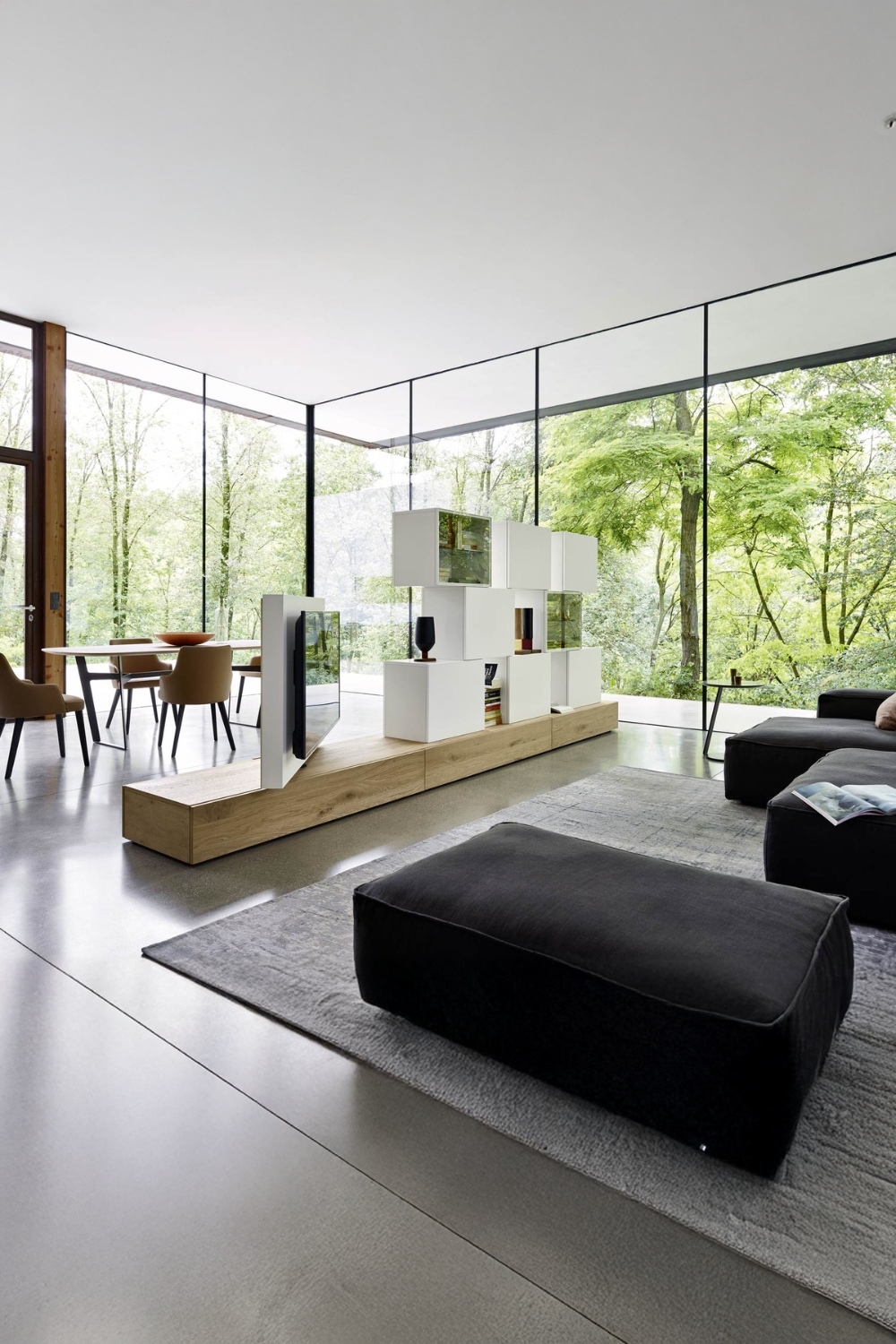 grand-salon-avec-séparateur-de-pièce-multifonctionnel
