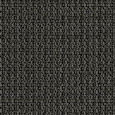 Anthracite 445