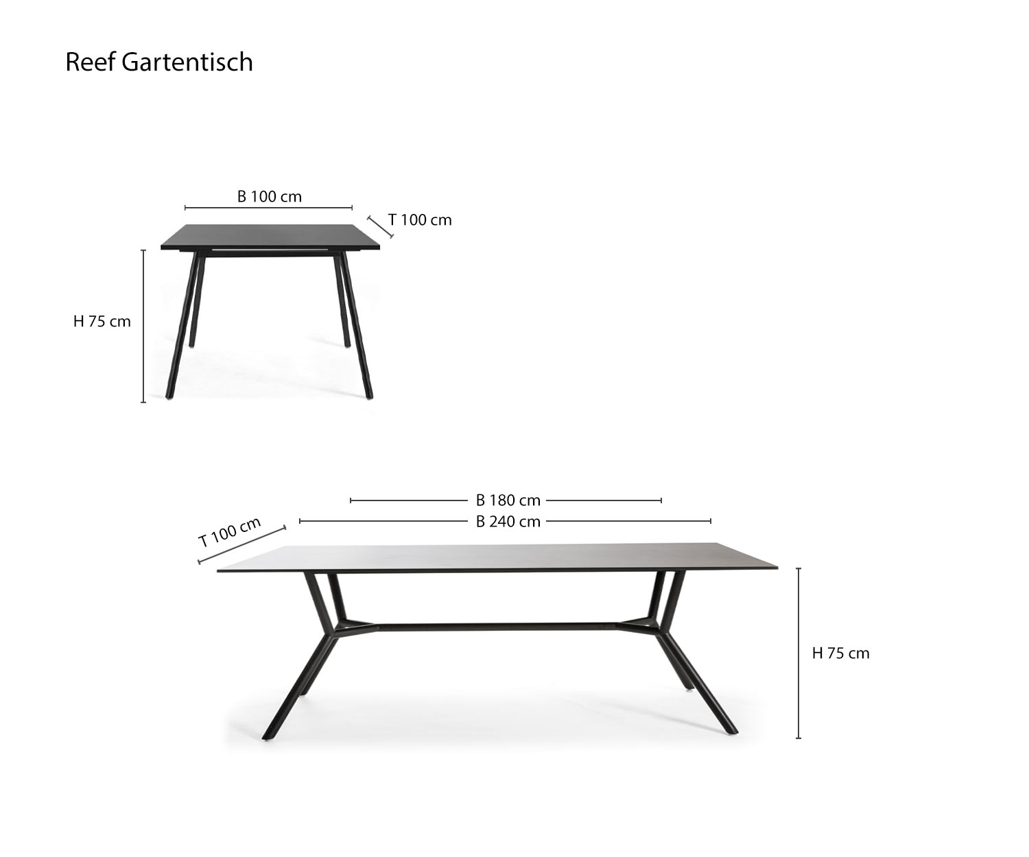 Oasiq Reef Garten Designer Table à manger Esquisse Dimensions Dimensions Oasiq Reef Garten Designer Table à manger Esquisse Dimensions Dimensions