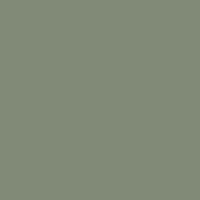 Groen mat gelakt - 342 FOGLIA (vergelijkbaar met RAL6003)